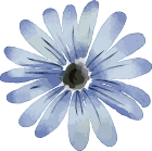 authour